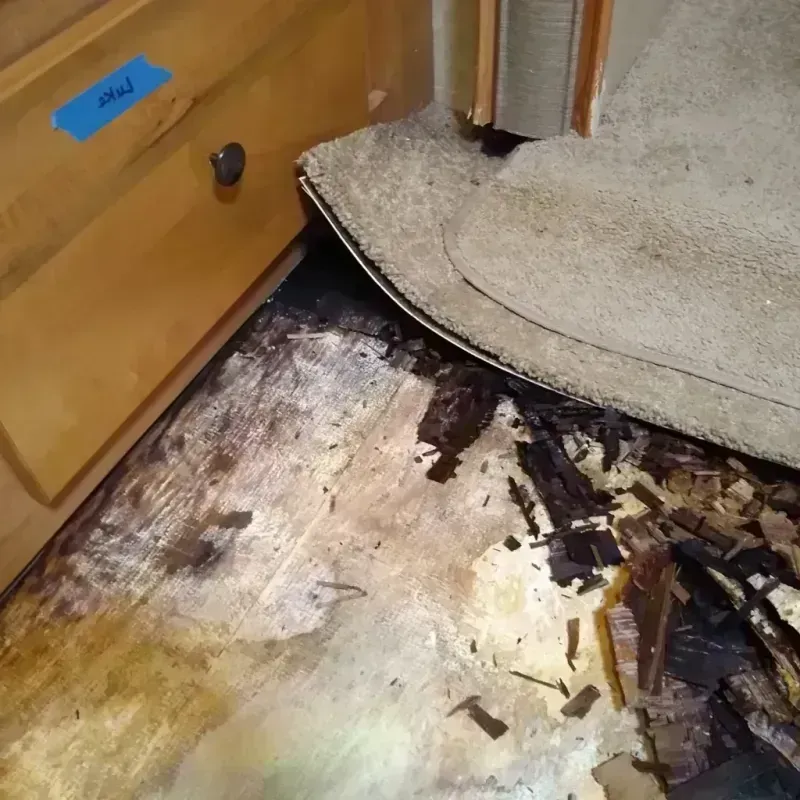 Wood Floor Water Damage in Mountain Lake, MN